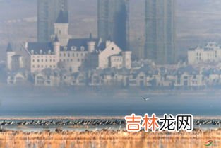 北归的大雁是什么季节,大雁北归是什么季节
