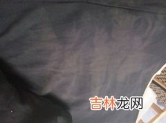 衣服发霉用什么方法可以去除,衣服霉点用什么可以洗掉