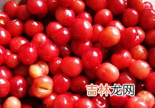 樱桃可以泡酒喝吗,樱桃可以泡酒吗