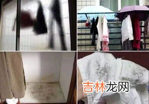 衣服上有霉点怎么快速去除,衣服上发霉了有霉点怎么能洗掉