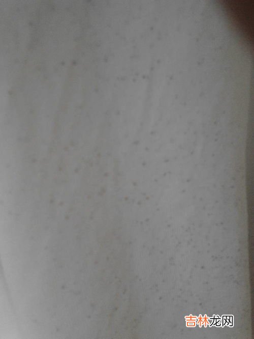 怎样去除衣服上的铁锈小妙招,衣服上的铁锈怎么清洗