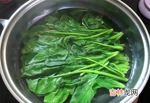 过冬的菠菜冬天用盖上吗,种菠菜需要盖地膜吗?