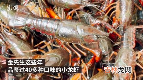小龙虾能过夜吗,小龙虾可以隔夜吃吗