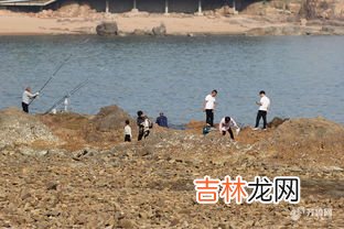 青岛赶海去哪里比较好,红石崖赶海的最佳位置