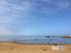 青岛赶海去哪里比较好,红石崖赶海的最佳位置