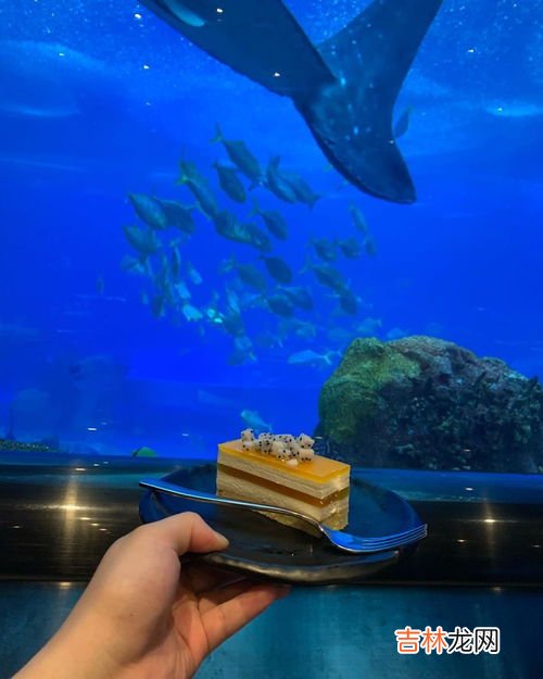 世界上最大的海是什么海,世界上最大的海