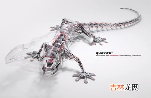 壁虎对人有害吗,壁虎对人有害吗，伤人吗?
