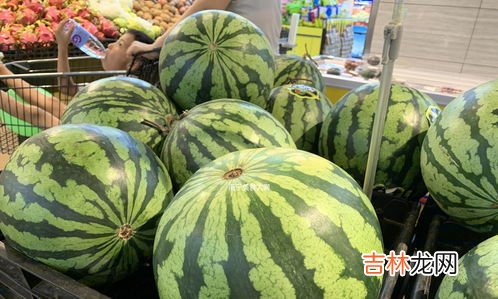 选西瓜的窍门,挑选西瓜的方法