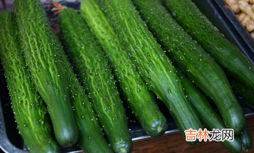 怎么晒黄瓜皮,钦州农村晒的黄瓜皮,配饭下粥,做成瓜皮卷美味可口