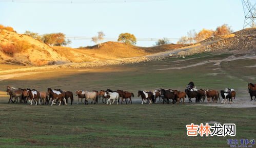 多伦诺尔草原在哪里,【端午假期】轻装徒步多伦草原の浑善达克沙地