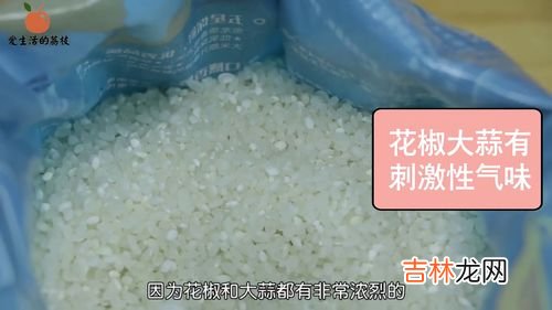 粮食如何保存不生虫子,如何保存大米不生虫子