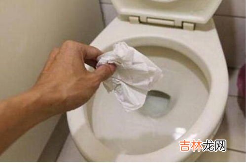 卫生纸堵住马桶了怎么办,厕所被卫生纸堵了,怎样疏通?