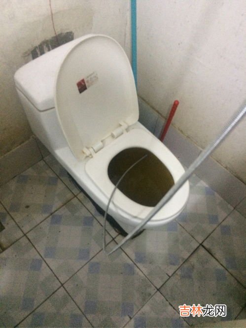 卫生纸堵住马桶了怎么办,厕所被卫生纸堵了，怎样疏通？
