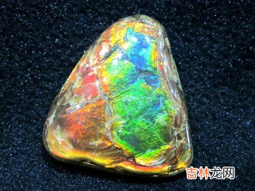 化石是什么资源可再生还是不可再生,化石是一种什么资源？