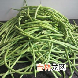 怎么晒干豆角,晒豆角干的晒制作方法