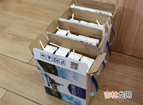 小木棍属于哪类垃圾,垃圾分几类哪几类包括什么?