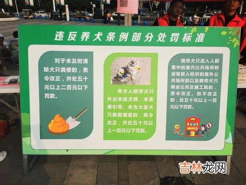 法治宣传活动标语,普法宣传标语
