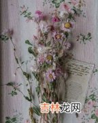 鲜花属于什么垃圾,花卉应该放在什么颜色垃圾桶？