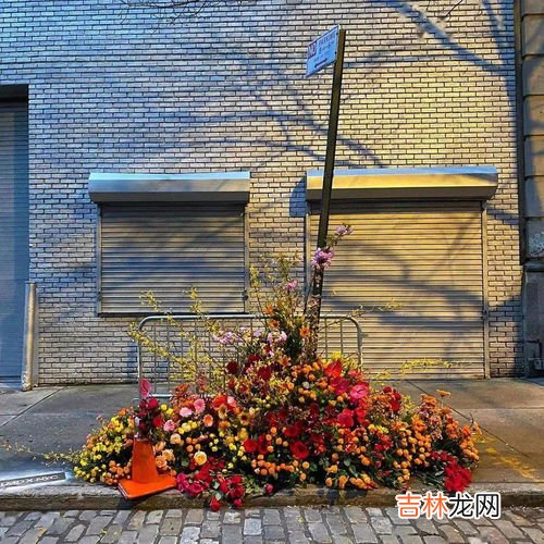 鲜花属于什么垃圾,花卉应该放在什么颜色垃圾桶？