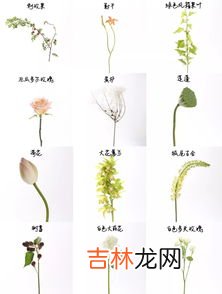 鲜花属于什么垃圾,花卉应该放在什么颜色垃圾桶？