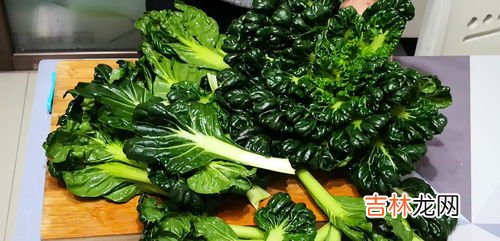 11月吃什么蔬菜的季节,夏季时令菜有哪些?