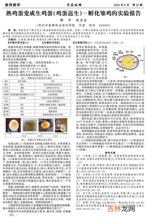 有些新闻论著也称为威尼斯什么,威尼斯手抄小报的详细介绍