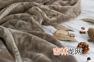 麂皮怎么清洗干净,麂皮需要怎么洗