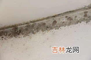 发霉的房间会致癌吗,发霉的房间住一天对身体好吗