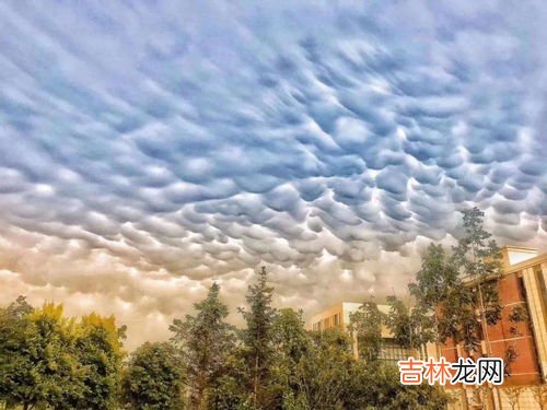 乳状云是什么的预兆,乳状云是怎么形成的 罕见的气象奇观