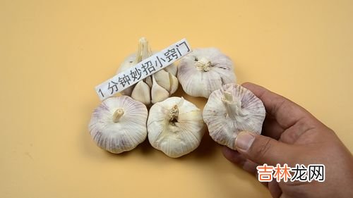 大蒜能在低温多少条件下过冬,大蒜怕冻吗?