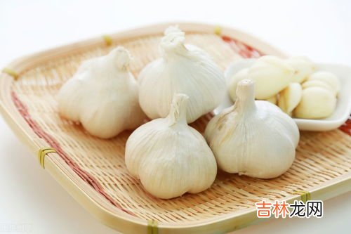 大蒜能在低温多少条件下过冬,大蒜怕冻吗?