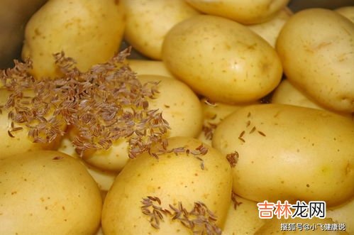 土豆减肥可以吃吗,减肥期间可以吃土豆吗 土豆是增肥还是减肥