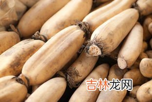 藕的5种最佳搭配,莲藕性寒搭配要注意 莲藕和什么一起吃最好