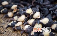 菱角根茎叫什么菜,菱角根茎叫什么菜