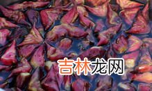 菱角根茎叫什么菜,菱角根茎叫什么菜