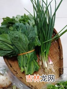 菱角根茎叫什么菜,菱角根茎叫什么菜