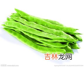 芸豆多久能熟,芸豆多久能熟?