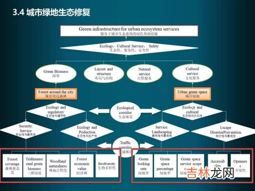 城市生态系统的核心是,城市生态系统核心是什么？