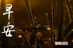 2023八一建军节早安语录祝福语短信问候语