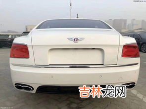 欲钱买飞驰向前的动物,飞驰向前的动物是什么生肖?