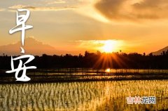 2023重阳节文艺唯美的早安说说大全