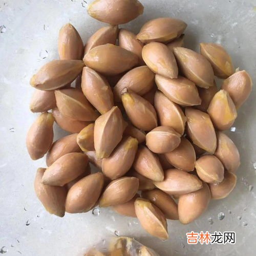 银杏果怎么吃不中毒,白果怎么吃不会中毒，高温&#047;去胚芽&#047;煮熟&#047;不多吃不会中毒