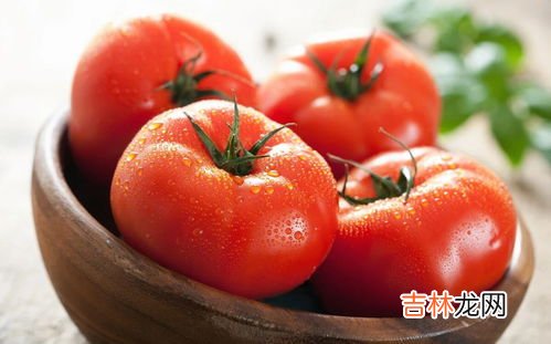 番茄怎么保存不会烂,番茄如何保存，新鲜番茄如何保存