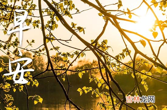 20篇 2023给顾客的早安问候语