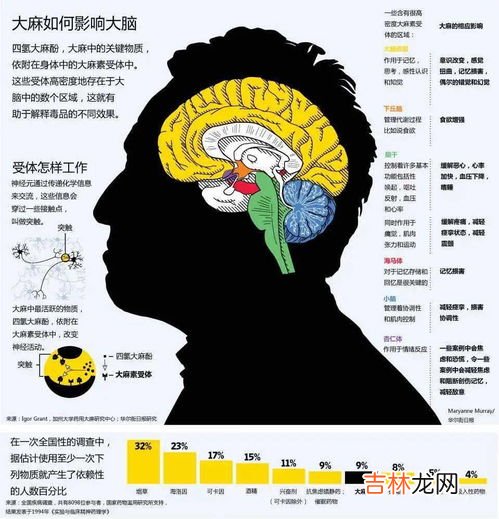 毒品分为哪三类,毒品种类有哪些啊？