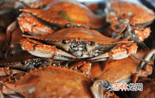 熟螃蟹能带上飞机吗,熟的海鲜能带上飞机吗