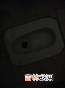 钥匙冲进厕所怎么办,汽车钥匙掉入厕所蹲坑怎么办？