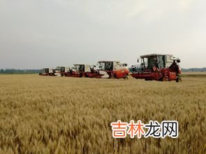 农业三夏是指什么,农业三夏是指什么，农业三产是指什么