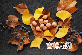 新鲜银杏怎么吃,银杏果怎么吃最好