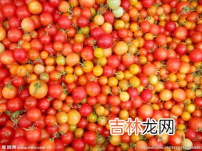 西红柿能祛痘吗,每天吃西红柿可以去痘印吗？